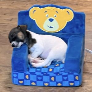 Meet your Posher, Cathy